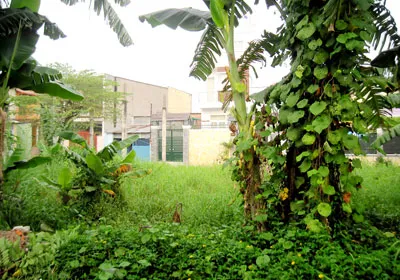 Tiếp tục cho tách thửa đất với hồ sơ hợp lệ